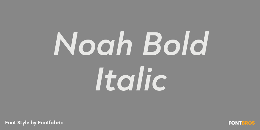Noah Bold Italic Poster