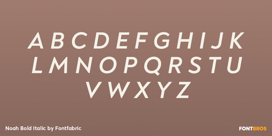 Noah Bold Italic Font Poster #2