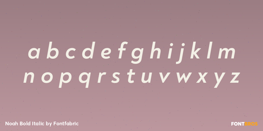 Noah Bold Italic Font Poster #3