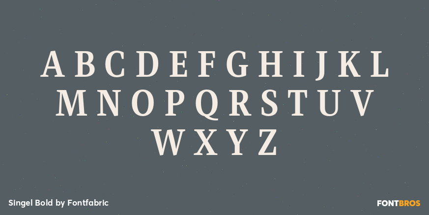 Singel Bold Font Poster #2