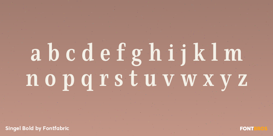 Singel Bold Font Poster #3