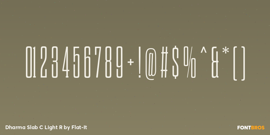 Dharma Slab C Light R Font Poster #1