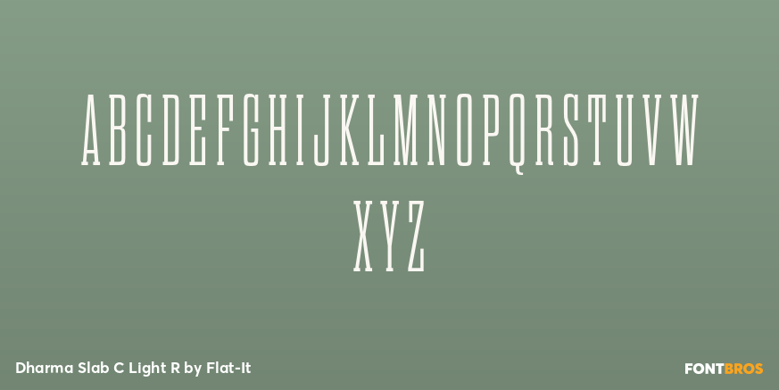 Dharma Slab C Light R Font Poster #1