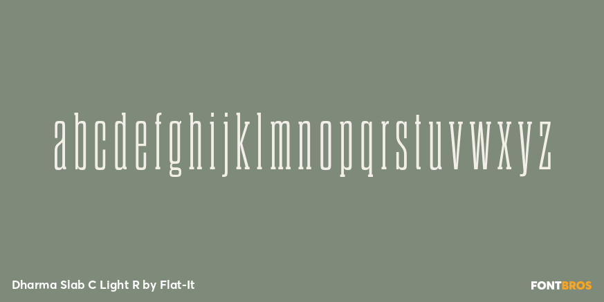 Dharma Slab C Light R Font Poster #1