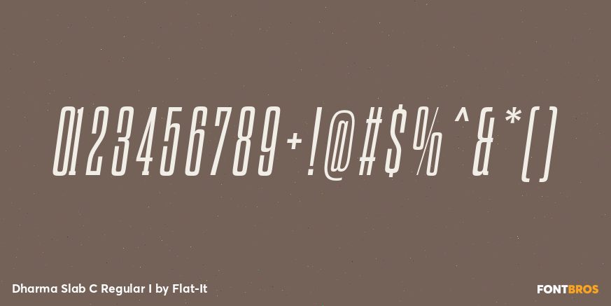 Dharma Slab C Regular I Font Poster #1