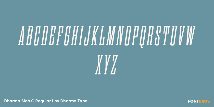 Dharma Slab C Regular I Font Poster #2
