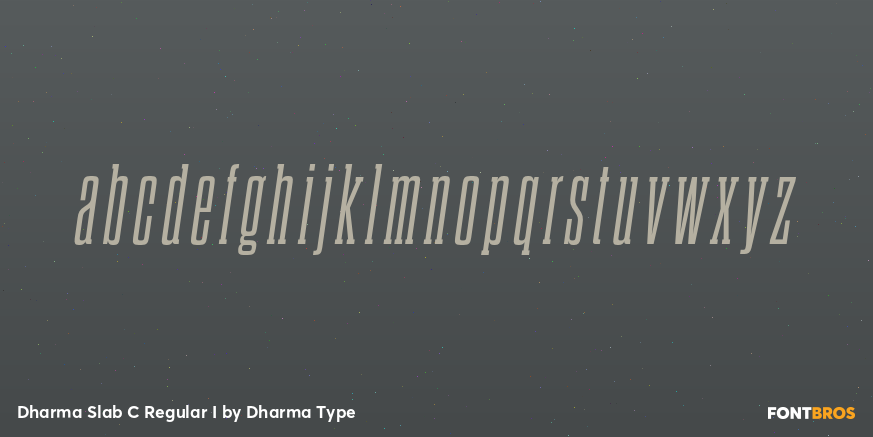 Dharma Slab C Regular I Font Poster #3