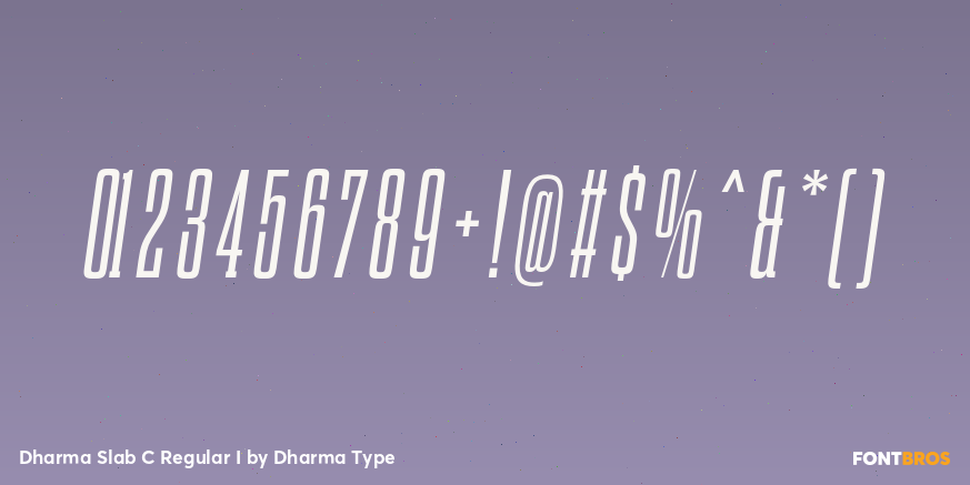 Dharma Slab C Regular I Font Poster #4
