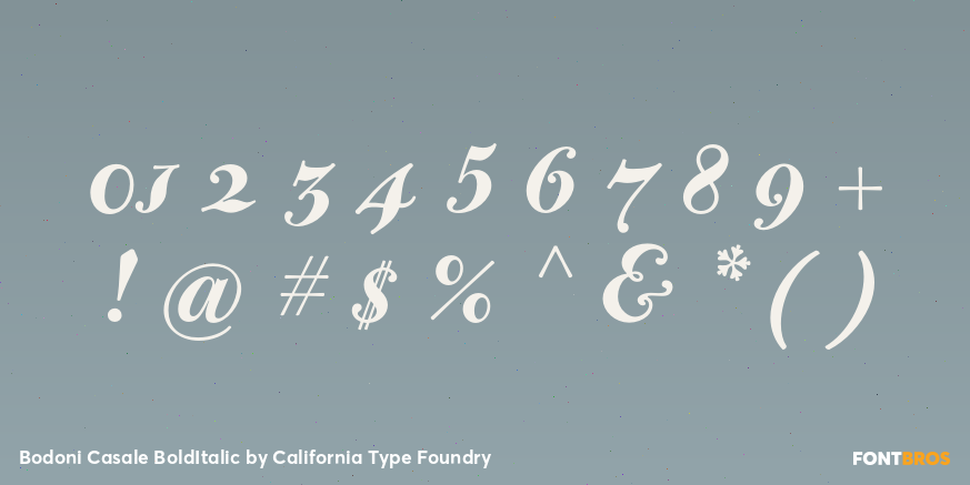 Bodoni Casale BoldItalic Font Poster #4