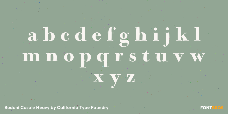 Bodoni Casale Heavy Font Poster #3