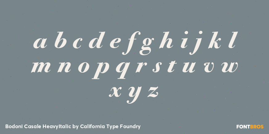 Bodoni Casale HeavyItalic Font Poster #3