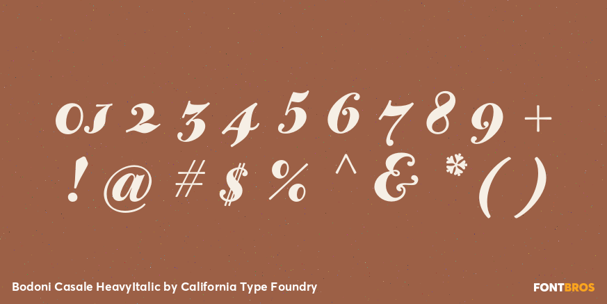 Bodoni Casale HeavyItalic Font Poster #4
