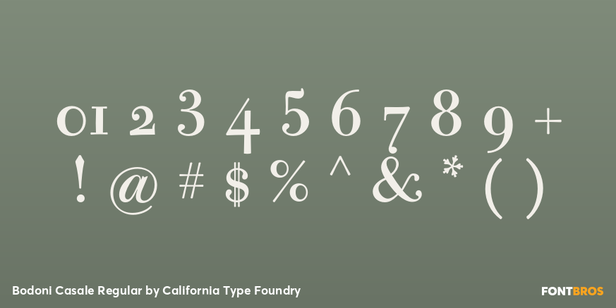 Bodoni Casale Regular Font Poster #4
