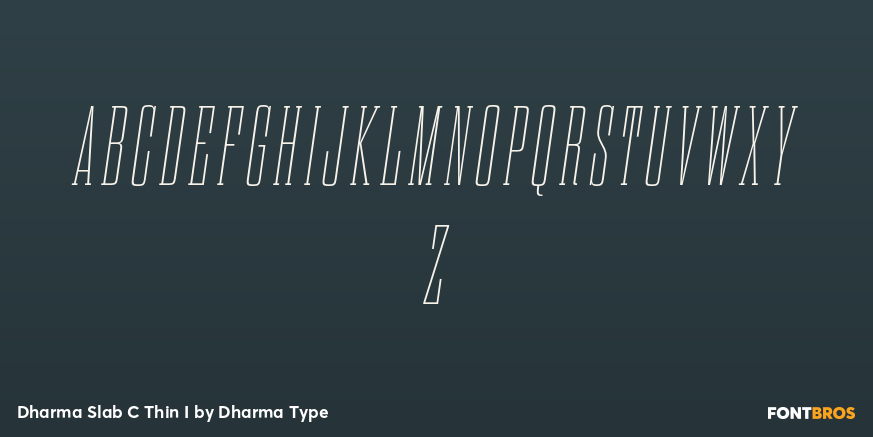 Dharma Slab C Thin I Font Poster #2