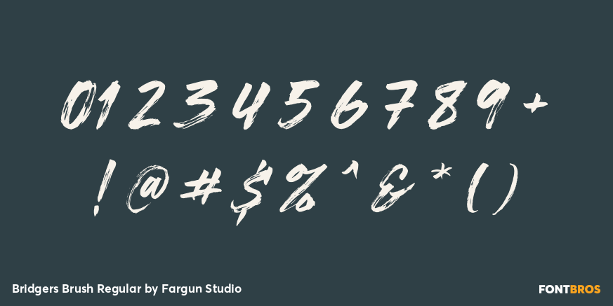 Bridgers Brush Regular Font Poster #1