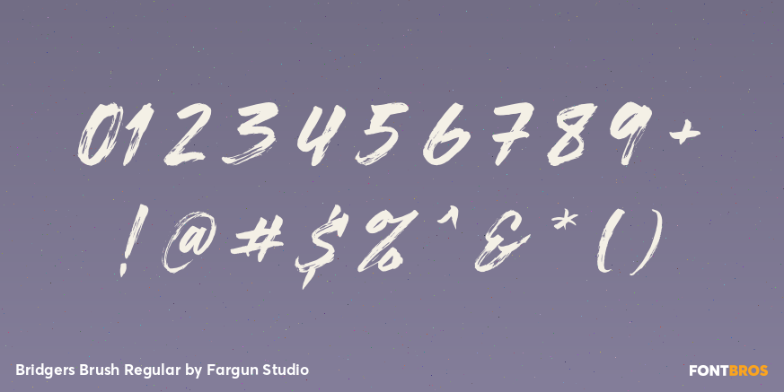 Bridgers Brush Regular Font Poster #4