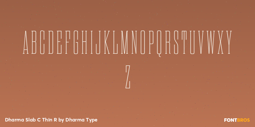 Dharma Slab C Thin R Font Poster #2