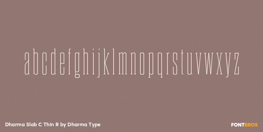 Dharma Slab C Thin R Font Poster #3
