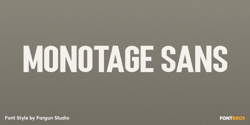 Monotage Sans Poster