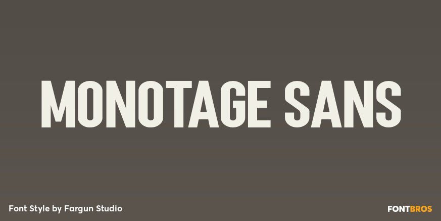 Monotage Sans Poster