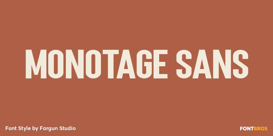 Monotage Sans Poster