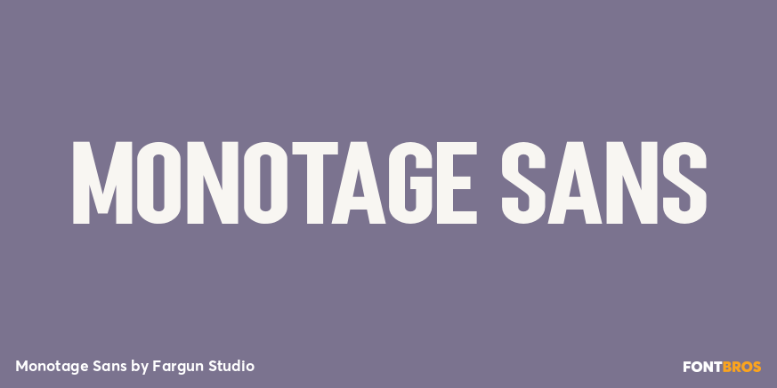 Monotage Sans Poster