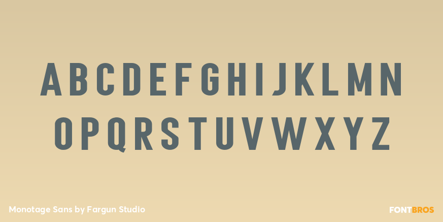 Monotage Sans Font Poster #3