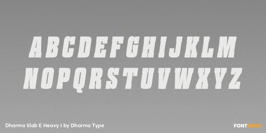 Dharma Slab E Heavy I Font Poster #2