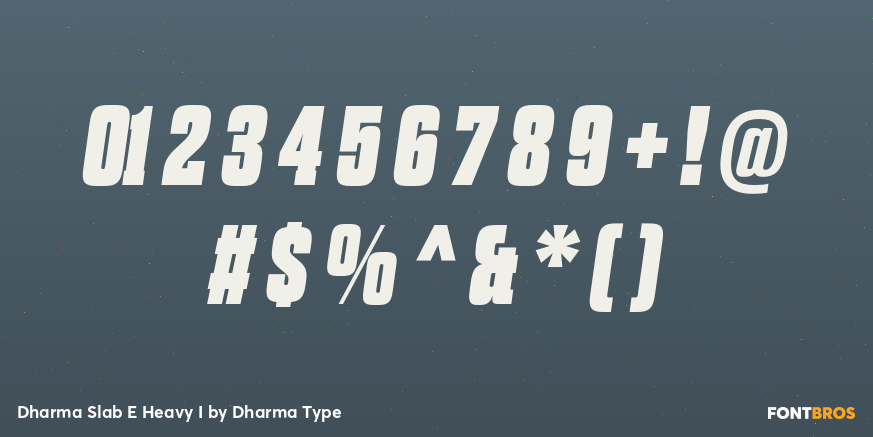 Dharma Slab E Heavy I Font Poster #4