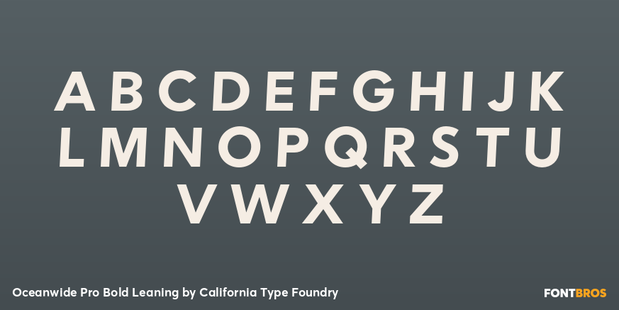 Oceanwide Pro Bold Leaning Font Poster #2
