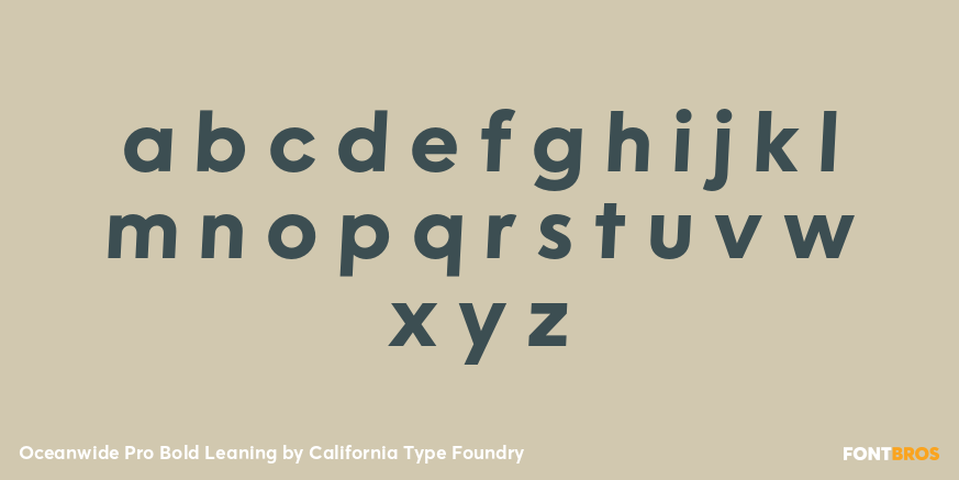 Oceanwide Pro Bold Leaning Font Poster #1