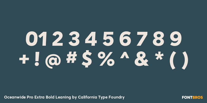 Oceanwide Pro Extra Bold Leaning Font Poster #4