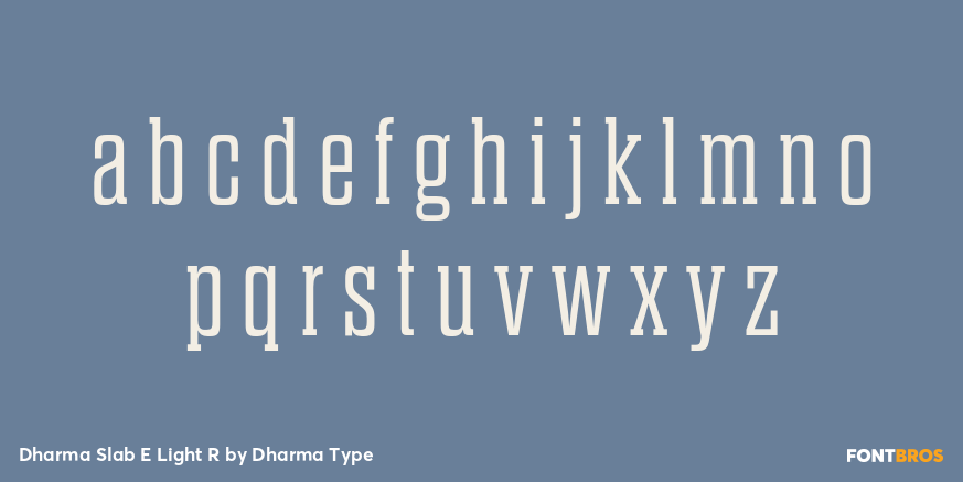 Dharma Slab E Light R Font Poster #3