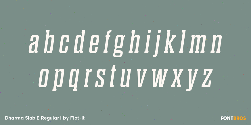 Dharma Slab E Regular I Font Poster #3