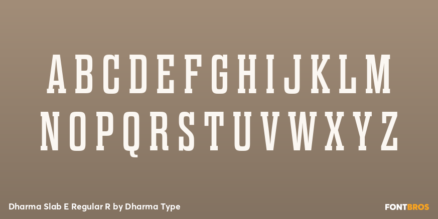 Dharma Slab E Regular R Font Poster #2