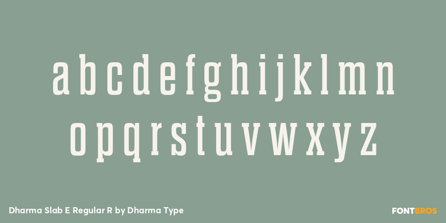 Dharma Slab E Regular R Font Poster #3