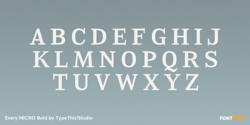 Every MICRO Bold Font Poster #2