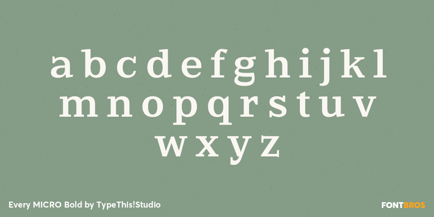 Every MICRO Bold Font Poster #3