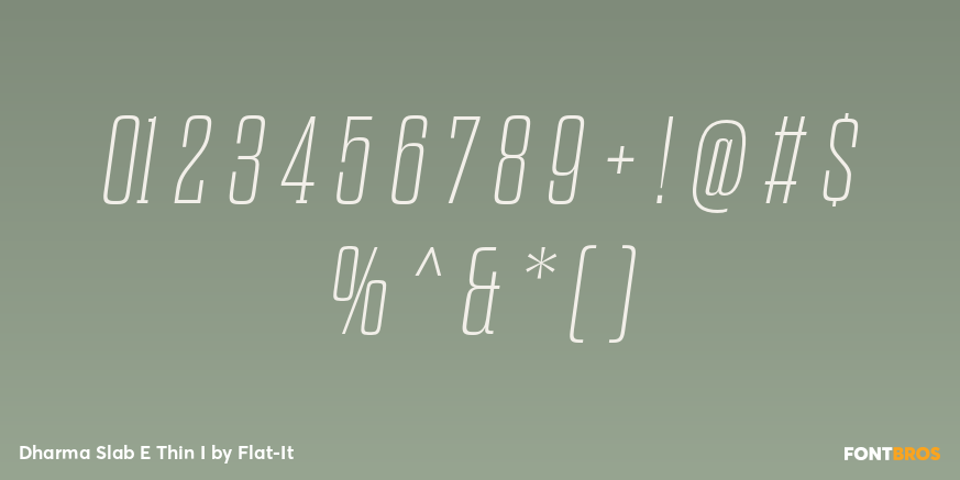 Dharma Slab E Thin I Font Poster #1