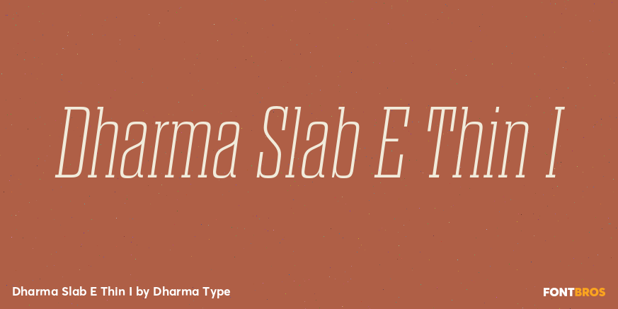 Dharma Slab E Thin I Font Poster #1