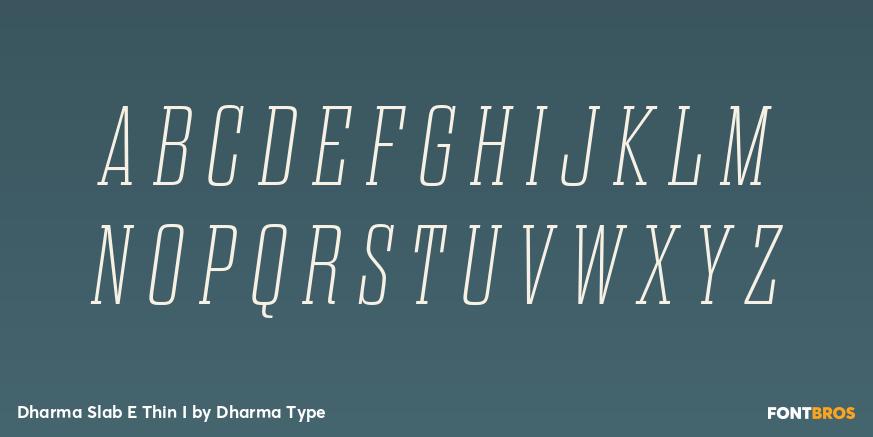 Dharma Slab E Thin I Font Poster #2