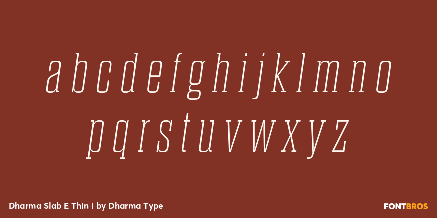 Dharma Slab E Thin I Font Poster #3