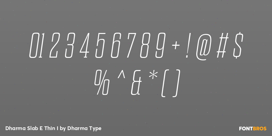 Dharma Slab E Thin I Font Poster #4