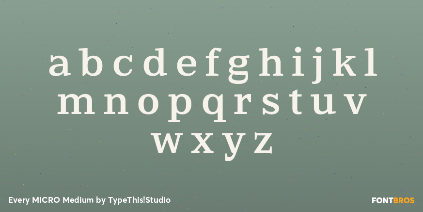 Every MICRO Medium Font Poster #3