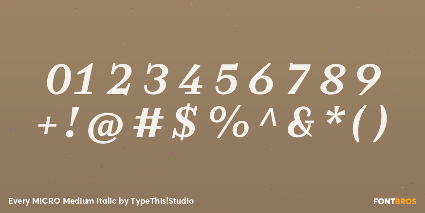 Every MICRO Medium Italic Font Poster #1