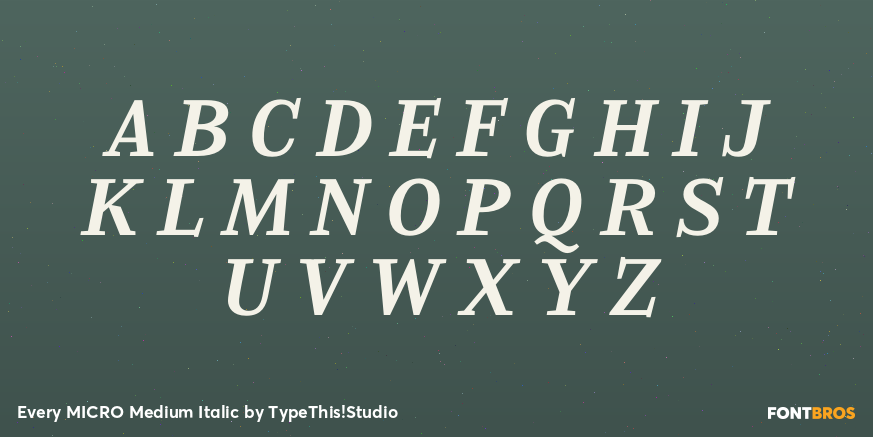 Every MICRO Medium Italic Font Poster #2