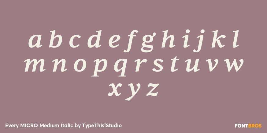 Every MICRO Medium Italic Font Poster #3