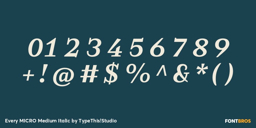 Every MICRO Medium Italic Font Poster #4