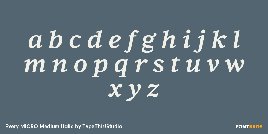 Every MICRO Medium Italic Font Poster #1