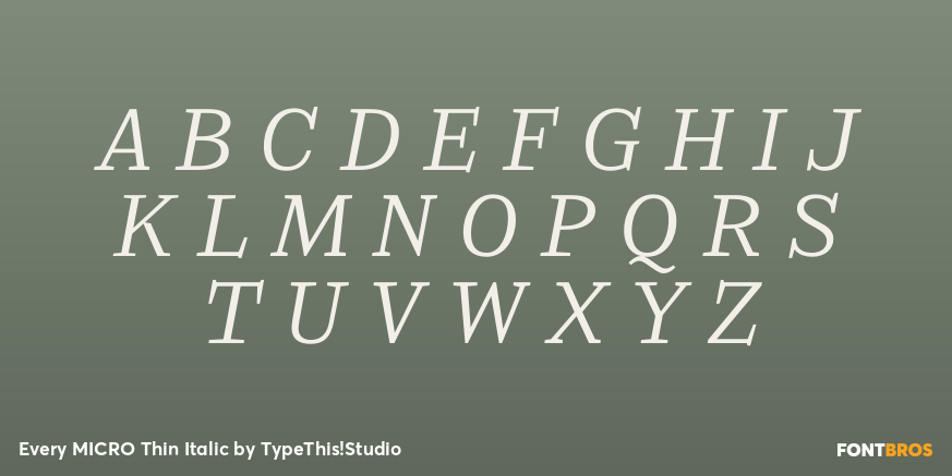 Every MICRO Thin Italic Font Poster #1